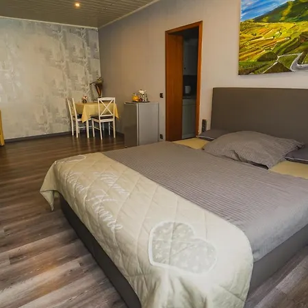 Gaestehaus Praesenzhof 酒店 3*